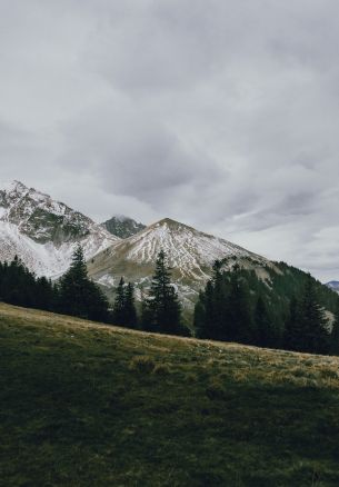 mountain, peak, forest, snow, trees, calm, pacification Wallpaper 1640x2360