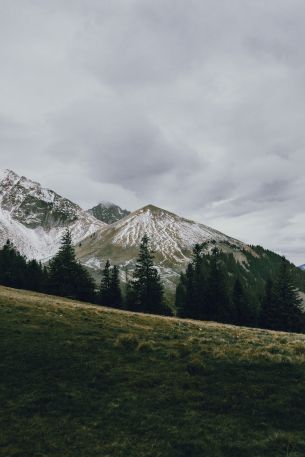 mountain, peak, forest, snow, trees, calm, pacification Wallpaper 640x960