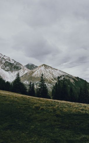 mountain, peak, forest, snow, trees, calm, pacification Wallpaper 1752x2800