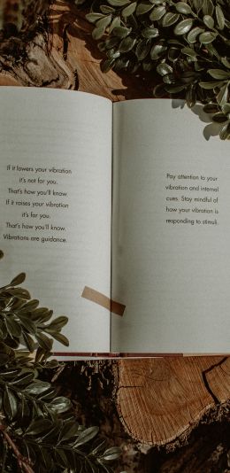 Обои 1080x2220 книга, растения, дерево, пеньки, настроение, мечта, о любви