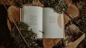 book, plants, tree, hemp, mood, dream, about love Wallpaper 2048x1152