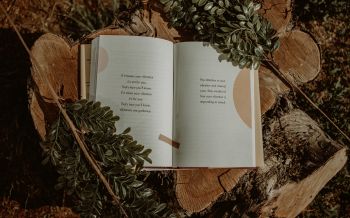 book, plants, tree, hemp, mood, dream, about love Wallpaper 2560x1600