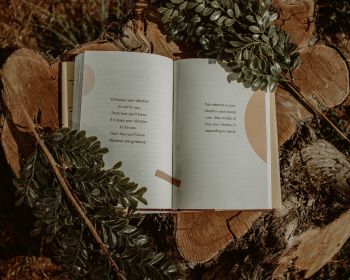 book, plants, tree, hemp, mood, dream, about love Wallpaper 1280x1024