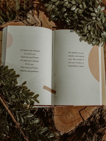 Обои 2048x2732 книга, растения, дерево, пеньки, настроение, мечта, о любви