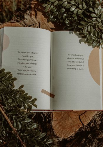 Обои 1668x2388 книга, растения, дерево, пеньки, настроение, мечта, о любви