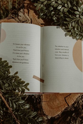 Обои 640x960 книга, растения, дерево, пеньки, настроение, мечта, о любви