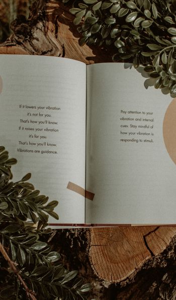 book, plants, tree, hemp, mood, dream, about love Wallpaper 600x1024