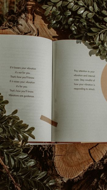 Обои 640x1136 книга, растения, дерево, пеньки, настроение, мечта, о любви