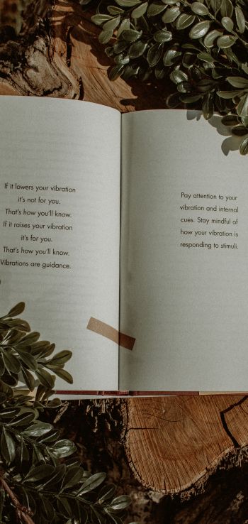 Обои 720x1520 книга, растения, дерево, пеньки, настроение, мечта, о любви