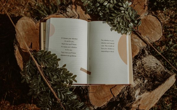 book, plants, tree, hemp, mood, dream, about love Wallpaper 2560x1600
