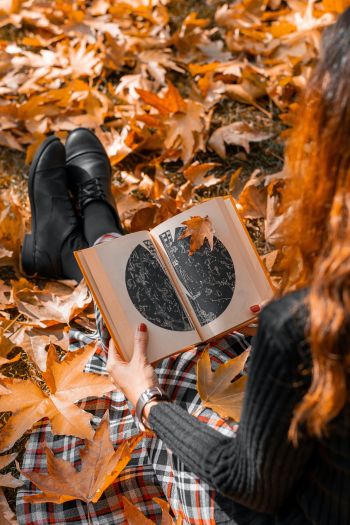 Обои 640x960 осень, девушка, кленовый лист, настроение осень, книга