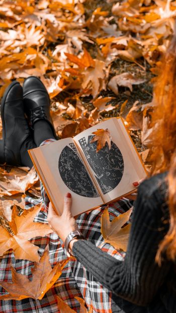 Обои 640x1136 осень, девушка, кленовый лист, настроение осень, книга
