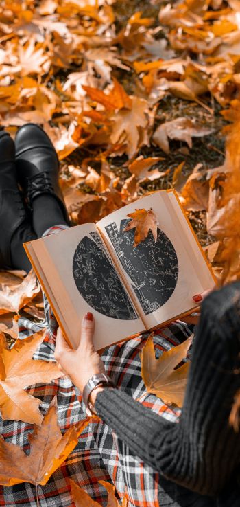 Обои 1440x3040 осень, девушка, кленовый лист, настроение осень, книга