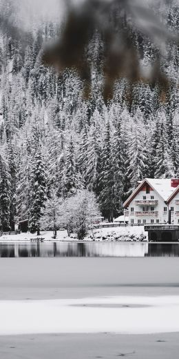 winter, snow, cold, ice, lake house, forest, in the woods Wallpaper 720x1440