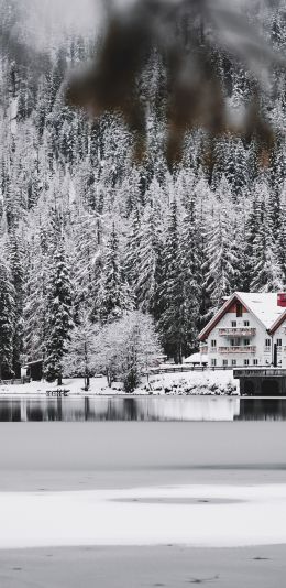 winter, snow, cold, ice, lake house, forest, in the woods Wallpaper 1080x2220