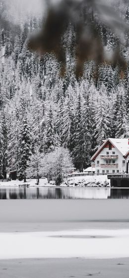 winter, snow, cold, ice, lake house, forest, in the woods Wallpaper 1170x2532