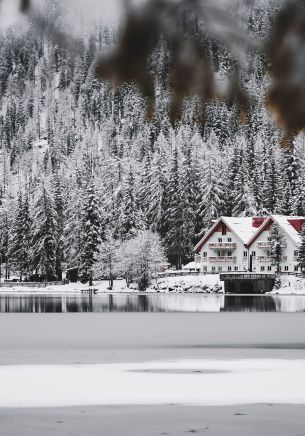 winter, snow, cold, ice, lake house, forest, in the woods Wallpaper 1668x2388