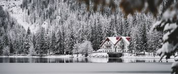 winter, snow, cold, ice, lake house, forest, in the woods Wallpaper 3440x1440