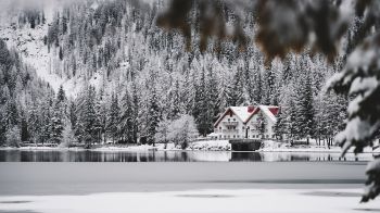 winter, snow, cold, ice, lake house, forest, in the woods Wallpaper 2560x1440