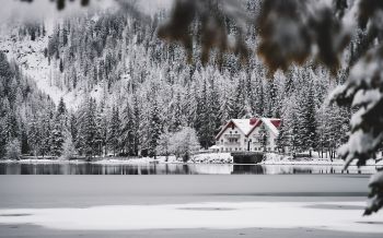winter, snow, cold, ice, lake house, forest, in the woods Wallpaper 2560x1600