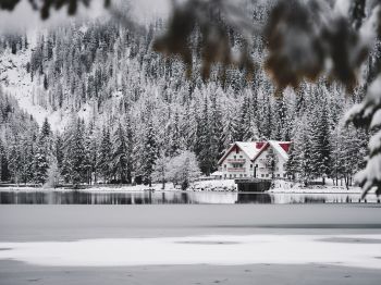 winter, snow, cold, ice, lake house, forest, in the woods Wallpaper 1024x768