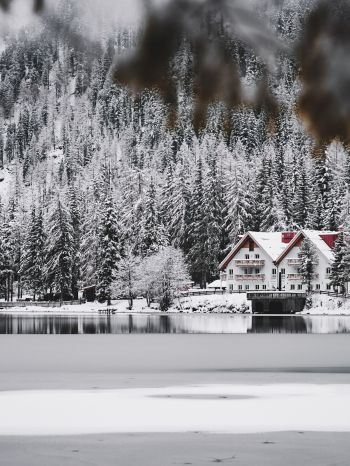winter, snow, cold, ice, lake house, forest, in the woods Wallpaper 1536x2048
