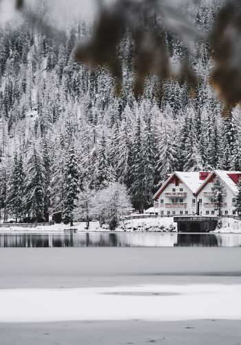 winter, snow, cold, ice, lake house, forest, in the woods Wallpaper 1668x2388