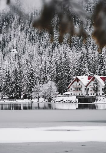 winter, snow, cold, ice, lake house, forest, in the woods Wallpaper 1640x2360