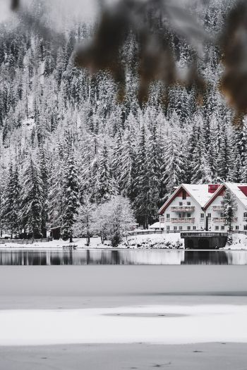 winter, snow, cold, ice, lake house, forest, in the woods Wallpaper 640x960