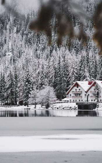 winter, snow, cold, ice, lake house, forest, in the woods Wallpaper 1752x2800