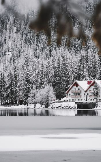 winter, snow, cold, ice, lake house, forest, in the woods Wallpaper 800x1280