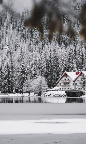 winter, snow, cold, ice, lake house, forest, in the woods Wallpaper 1200x2000