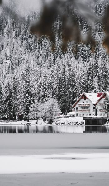 winter, snow, cold, ice, lake house, forest, in the woods Wallpaper 600x1024