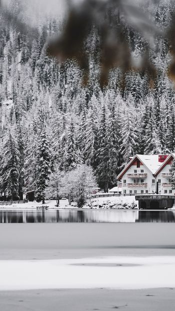 Обои 640x1136 зима, снег, холод, лед, дом у озера, лес, в лесу