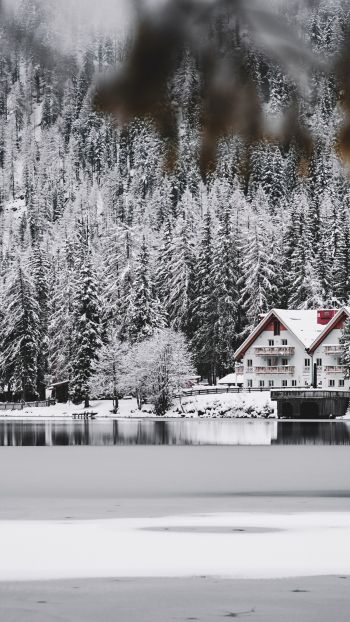 Обои 720x1280 зима, снег, холод, лед, дом у озера, лес, в лесу