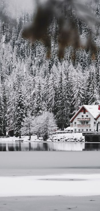 winter, snow, cold, ice, lake house, forest, in the woods Wallpaper 1080x2280