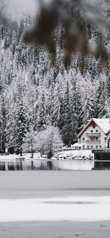 winter, snow, cold, ice, lake house, forest, in the woods Wallpaper 1080x2340