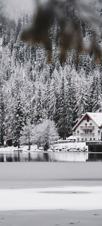 winter, snow, cold, ice, lake house, forest, in the woods Wallpaper 1080x2400
