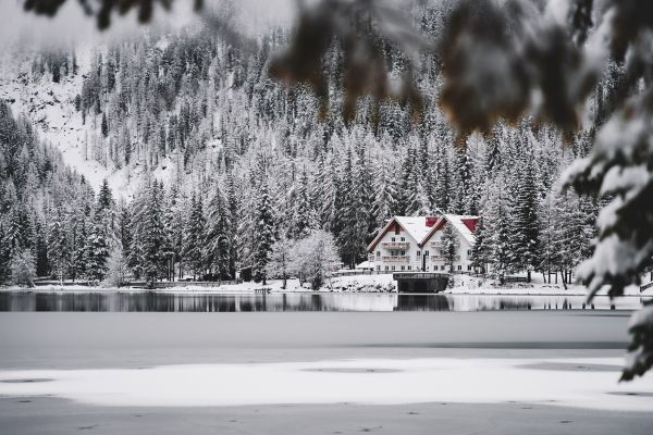 winter, snow, cold, ice, lake house, forest, in the woods Wallpaper 5472x3648