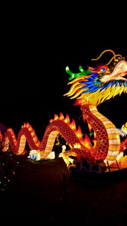 Обои 1080x1920 китайский дракон, праздник, Китай, дракон, счастье, удача