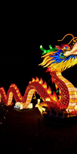 Обои 720x1440 китайский дракон, праздник, Китай, дракон, счастье, удача