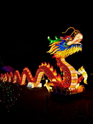 Обои 3024x4032 китайский дракон, праздник, Китай, дракон, счастье, удача