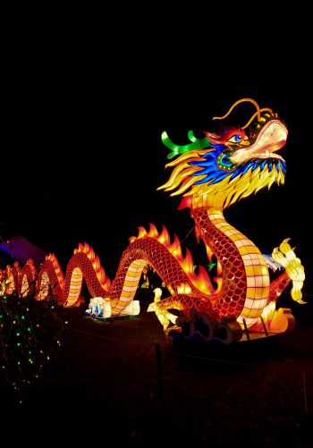 chinese dragon, holiday, China, dragon, happiness, luck Wallpaper 1668x2388