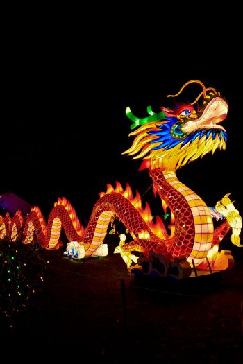 Обои 640x960 китайский дракон, праздник, Китай, дракон, счастье, удача