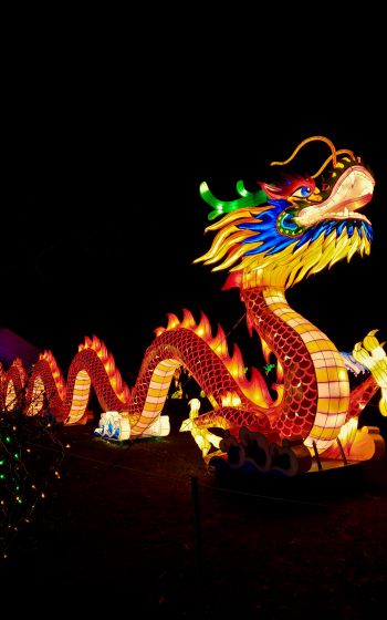 Обои 1600x2560 китайский дракон, праздник, Китай, дракон, счастье, удача