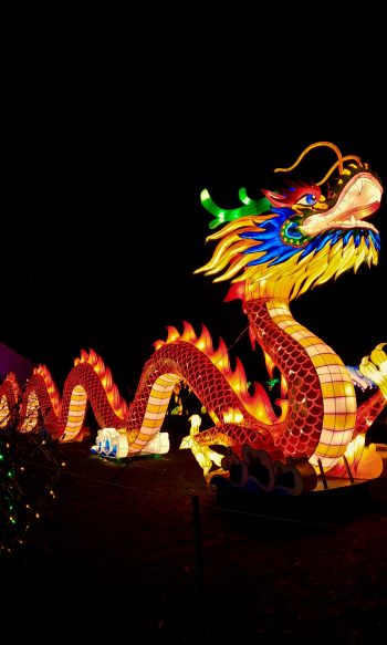 Обои 1200x2000 китайский дракон, праздник, Китай, дракон, счастье, удача