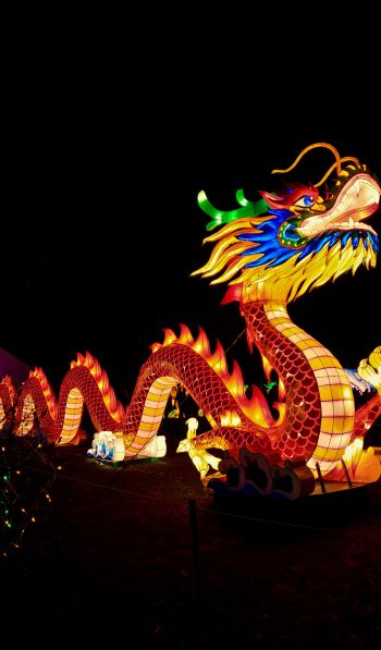 Обои 600x1024 китайский дракон, праздник, Китай, дракон, счастье, удача