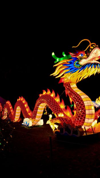 Обои 640x1136 китайский дракон, праздник, Китай, дракон, счастье, удача