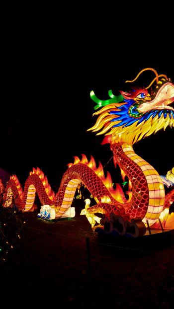 Обои 1440x2560 китайский дракон, праздник, Китай, дракон, счастье, удача