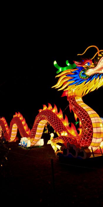 Обои 720x1440 китайский дракон, праздник, Китай, дракон, счастье, удача